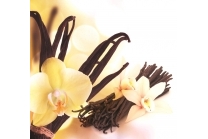 Vanilla