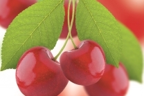 Cereza