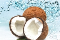 Kokosnuss