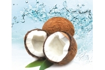 Kokosnuss